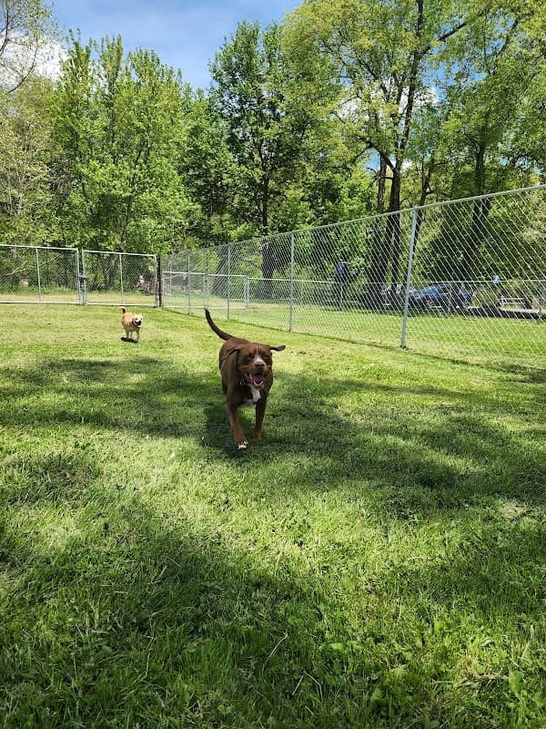 Buckhannon Dog Park - Image 1