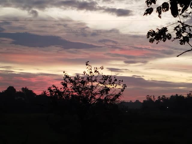 Chandrika Kumarathunga Mawatha Wetland Birdwatching area - Image 2