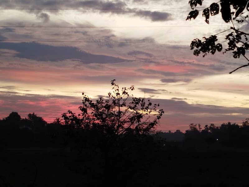 Chandrika Kumarathunga Mawatha Wetland Birdwatching area - Image 2
