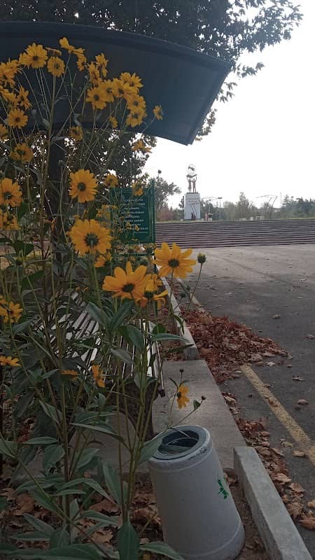 Amfiteatr V Parke Molodezhi - Image 1