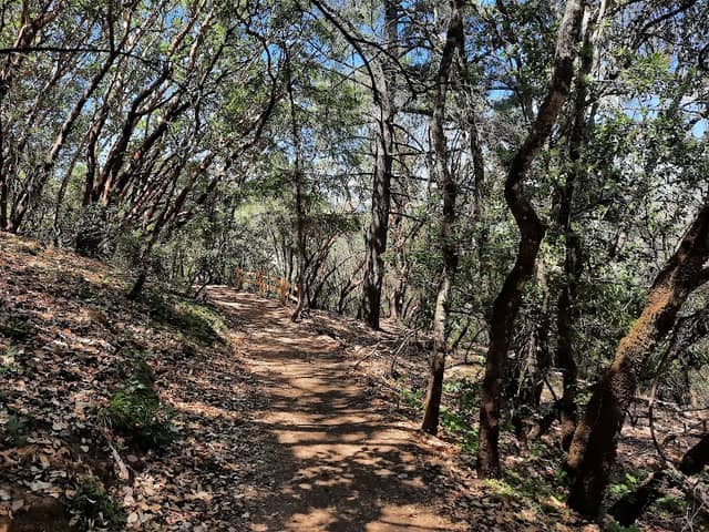 City View Trail - Image 2