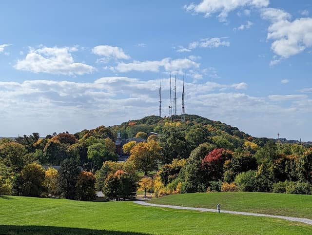 Cobbs Hill Park - Image 2
