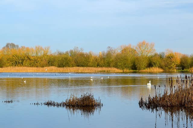 Irthlingborough Lakes And Meadows - Image 1