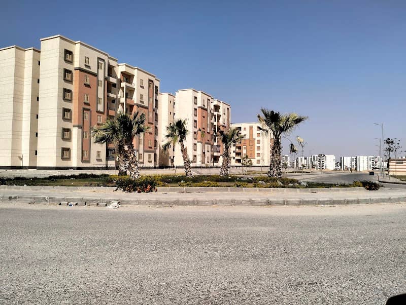صنية الفيروز - Image 1