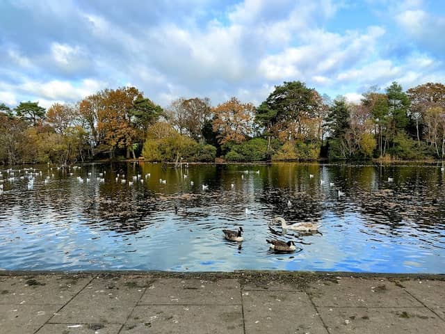 California Country Park - Image 1