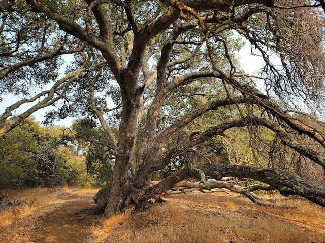 Madera Point - Image 2