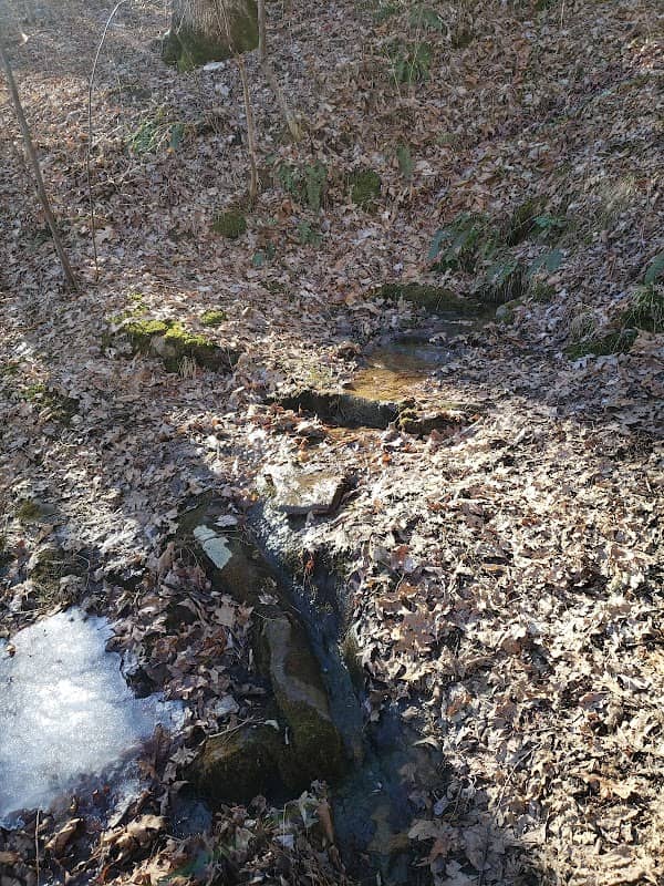 Chattahoochee River Headwaters - Image 1