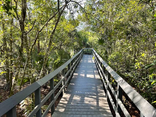 Fern Forest Nature Center - Image 1