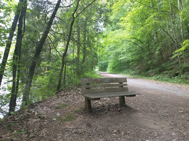 Watauga Trail Head Creeper Trail Parking - Image 1