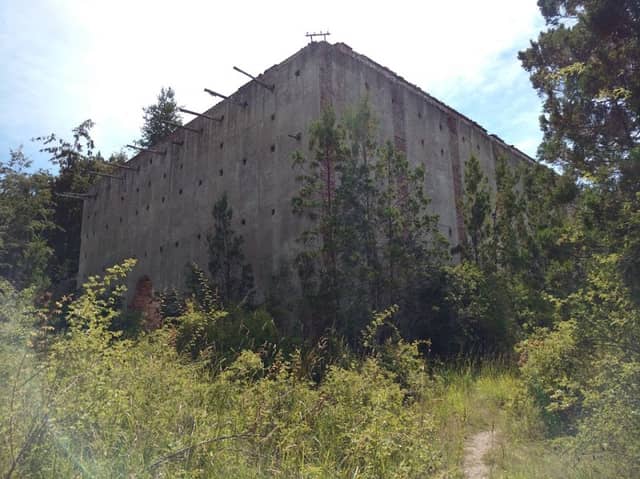 Huemul Island - Image 1