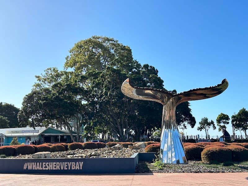 Nala - Humpback Whale Sculpture - Image 2