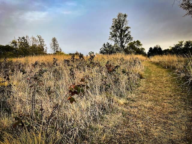 Geneseo Prairie Park - Image 1