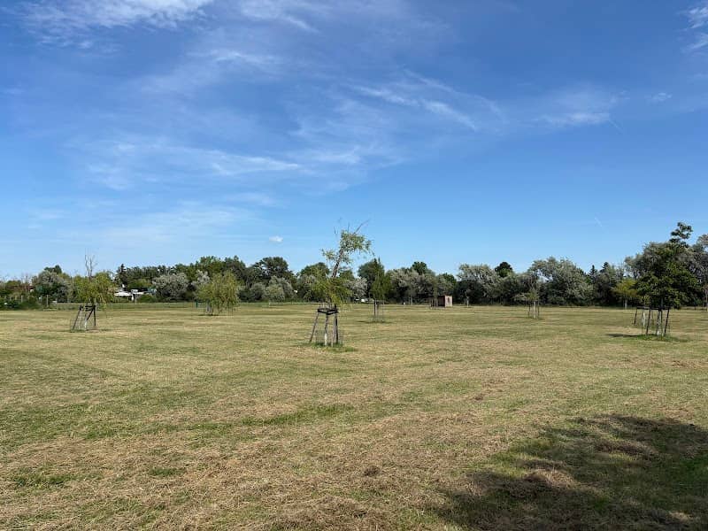 Hundezone Podersdorf - Image 1
