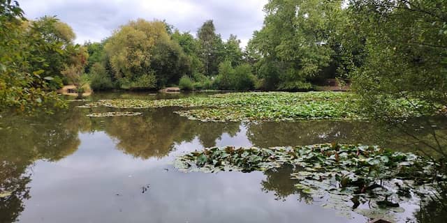 Riverside Garden Park - Image 2