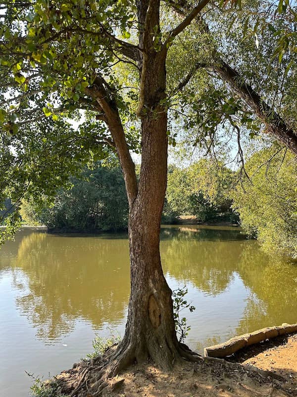 Riverside Garden Park - Image 1