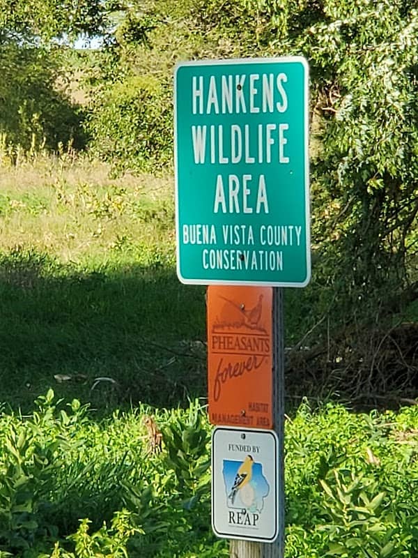 Hankens Wildlife Area - Image 2