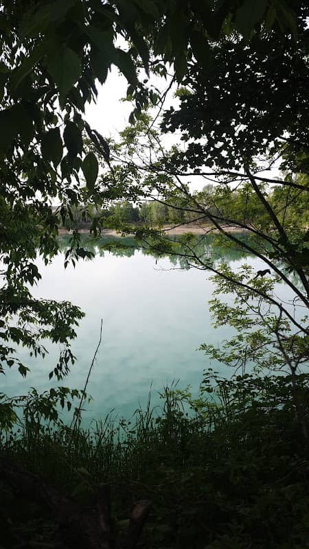 Parco Laghetto dei Cigni - Image 1