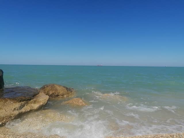 Spiaggia libera per cani - Image 2