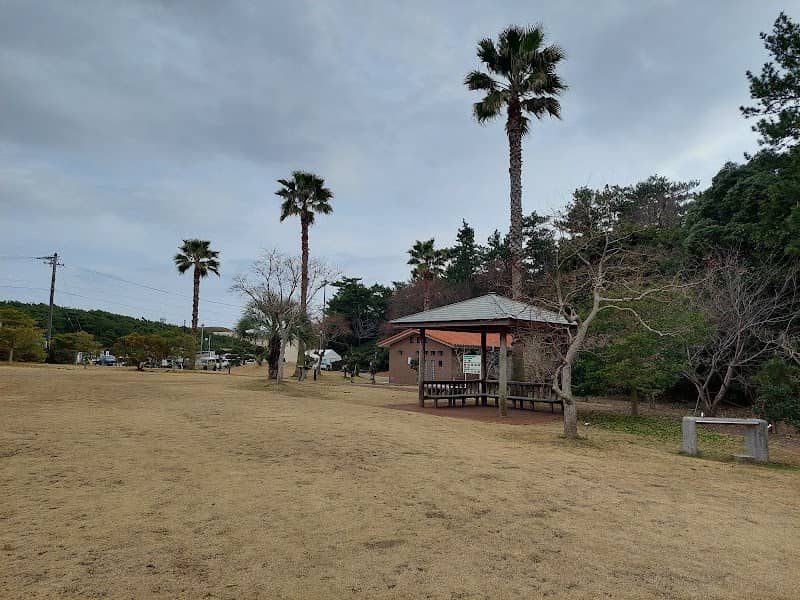 Hamaokasakyushirasuna Park - Image 1
