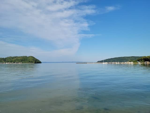 Surf Garden Park - Image 1