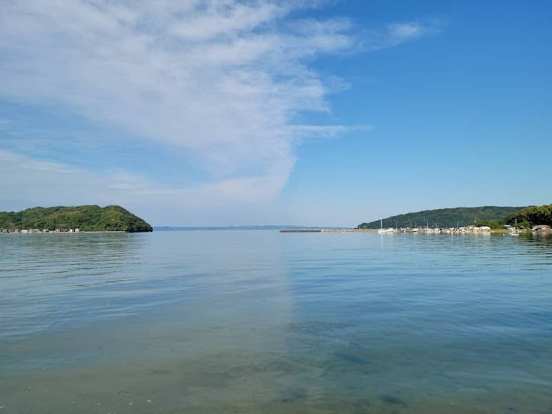 Surf Garden Park - Image 1
