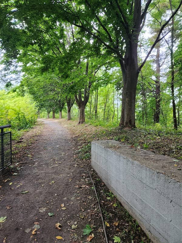 Northern Canal Walkway - Image 2