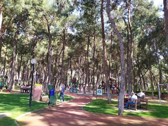 Aytepe Picnic Area - Image 1