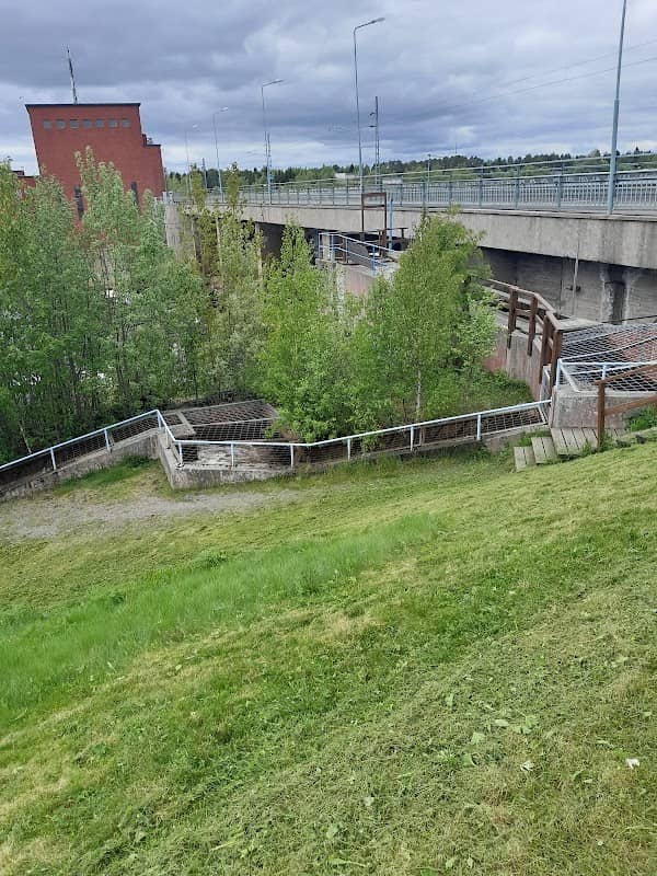 Vallitunsaaren kalatie - Image 1
