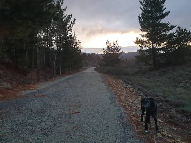 The Hidden Highway - South Access - Image 1