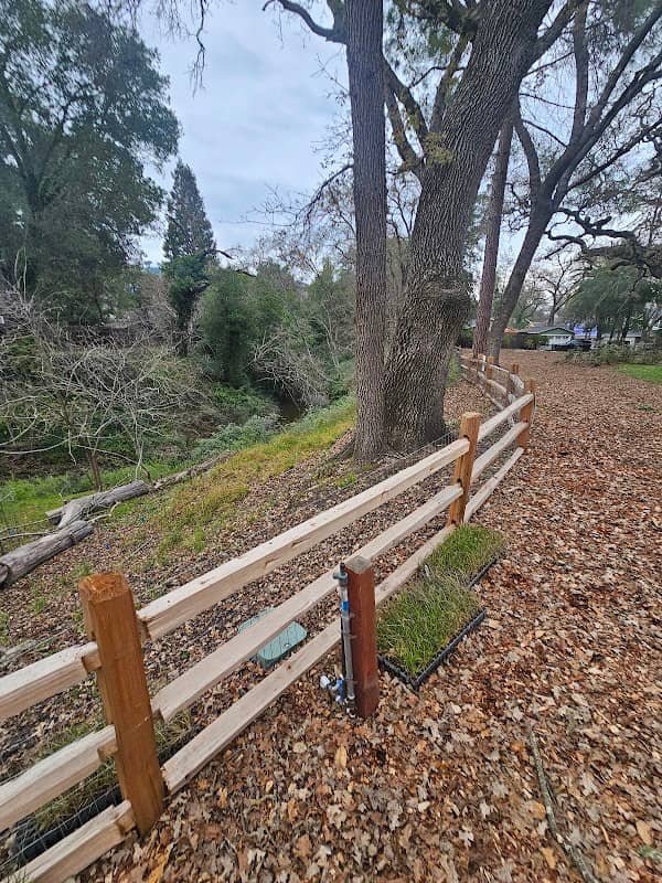Leigh Creekside Park - Image 2