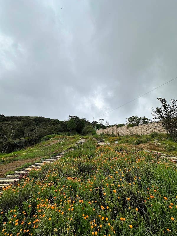 Benguet–Kōchi Sisterhood Park - Image 1