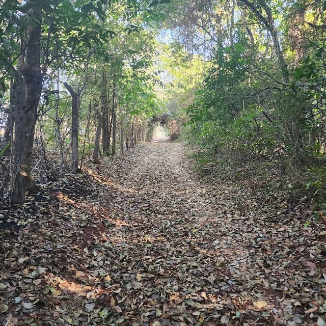 Parque Estadual Matas do Segredo - Image 2