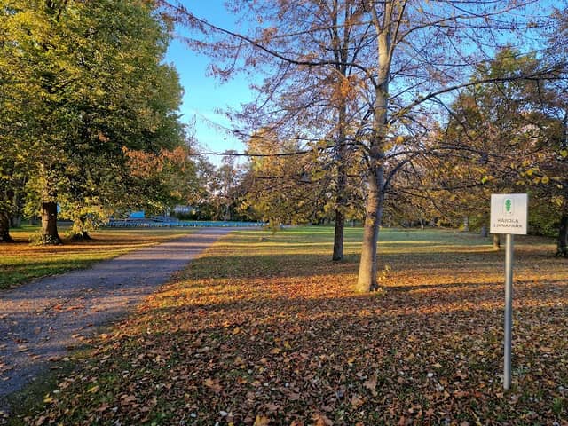 Kärdla City Park - Image 1