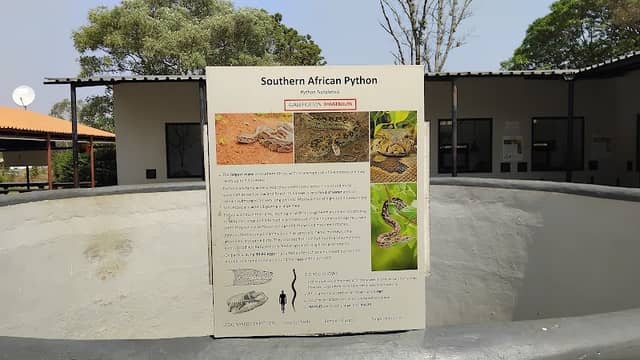 Python Pit - Image 1