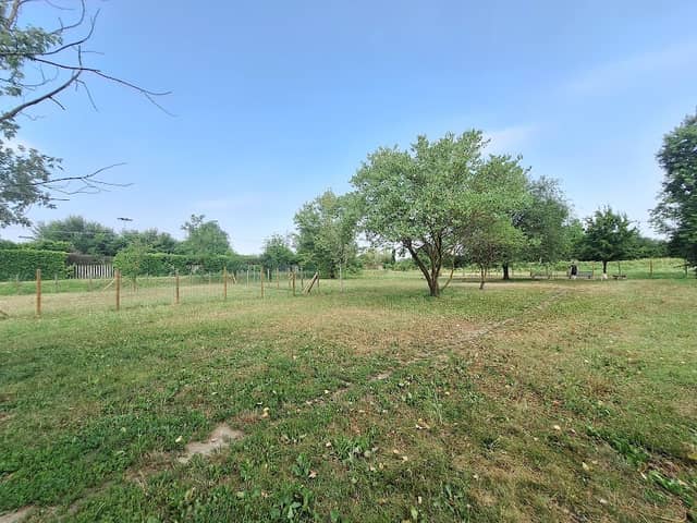Area cani - Image 1