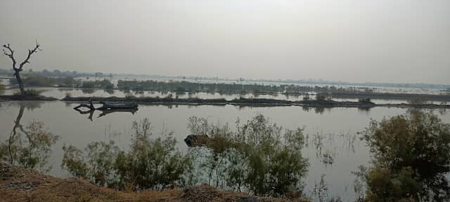 Rajasthan-UP border gate konthara - Image 2