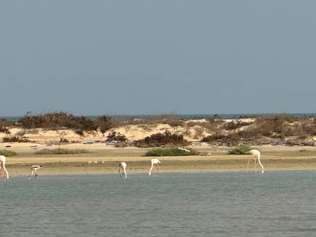 Sherief Public Beach - Image 1