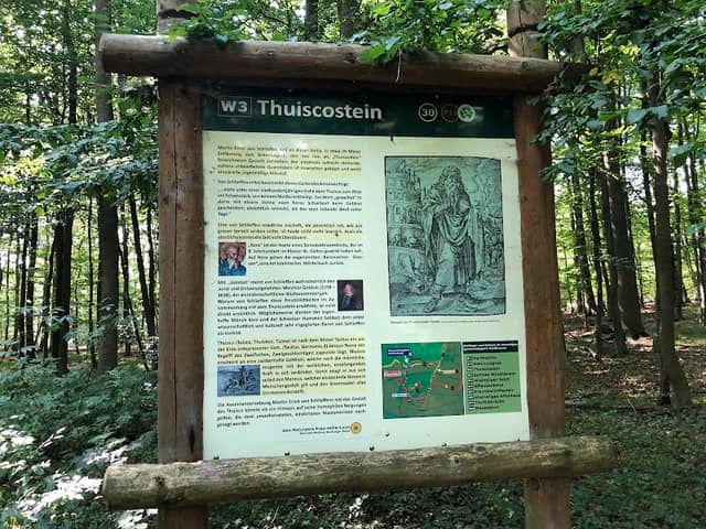 Thuiscostein - Image 1