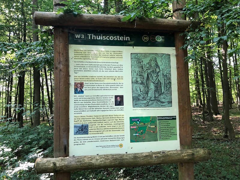 Thuiscostein - Image 1