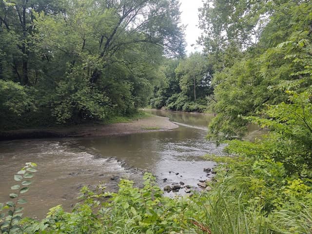 Madigan State Park - Image 1