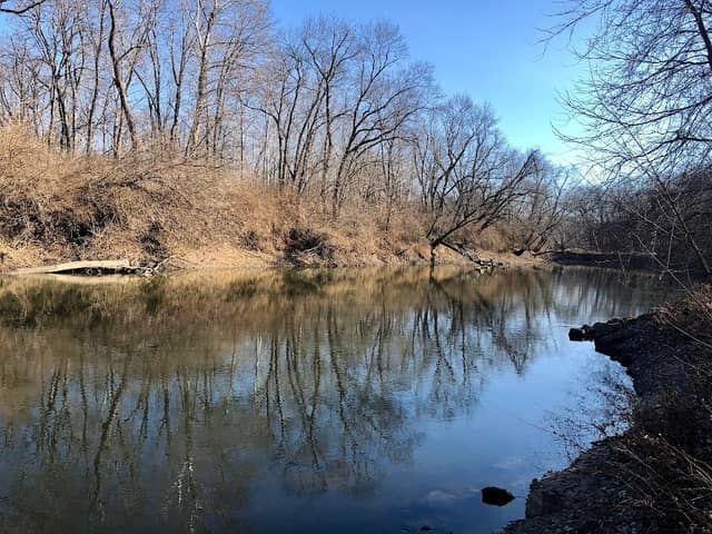 Madigan State Park - Image 2