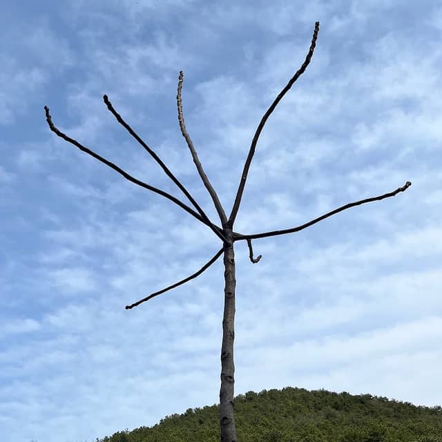 뉴런 고목 - Image 1
