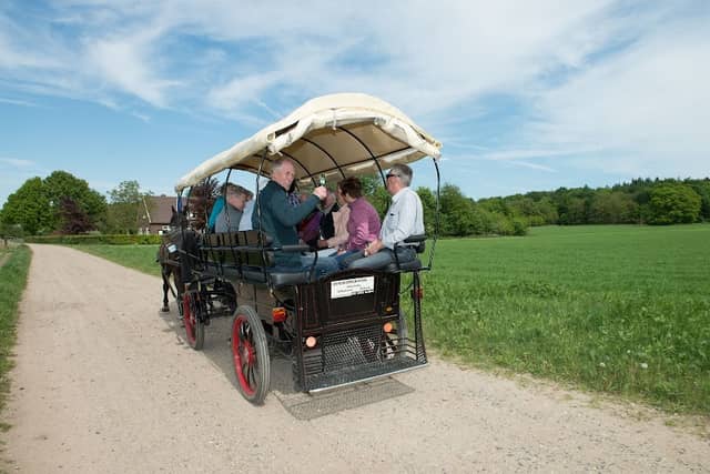Carriage Center Bergh - Image 2