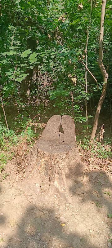 Nature Chair - Image 2