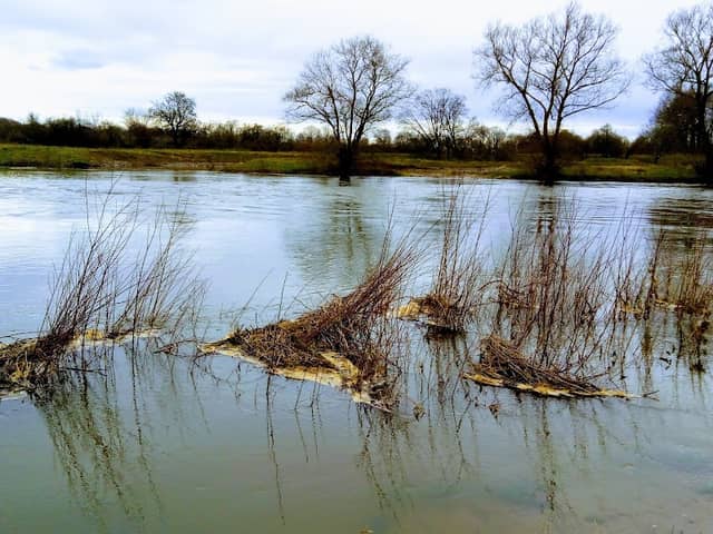 Lippeaue - Image 1