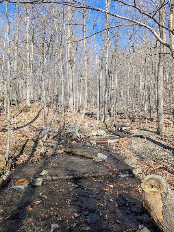 Ruisseau des bouleaux, parc national du Mont-Saint-Bruno - Image 1