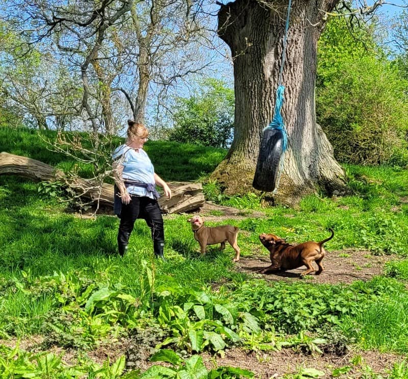 Ronnie's Field - Image 1