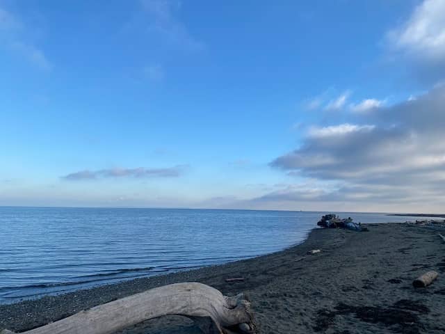 Boundary Bay Regional Park - Image 3