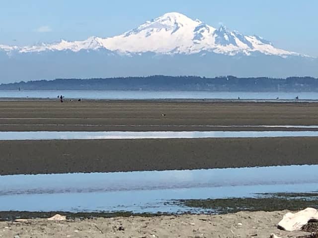 Boundary Bay Regional Park - Image 2