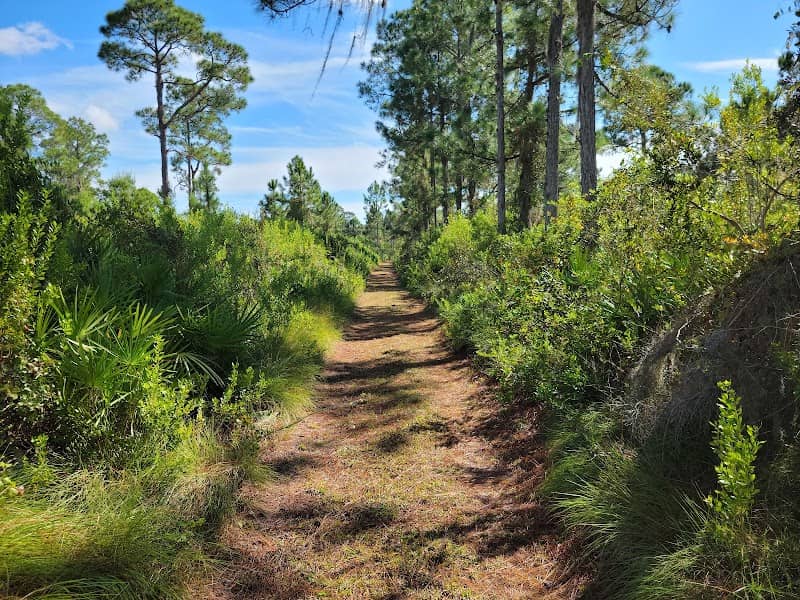 Highlands Hammock State Park, Seven Lakes Picnic Area - Image 1